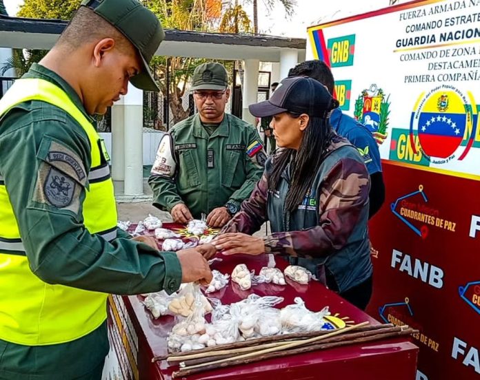 Detenidas Cinco Personas Por Venta De Huevos De Iguana Diario El