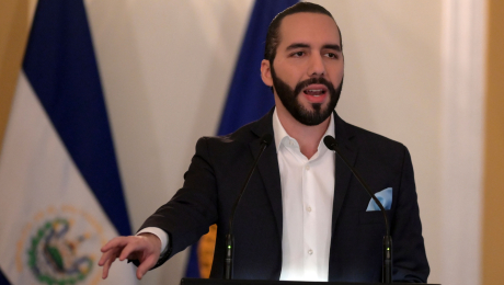 nayid bukele