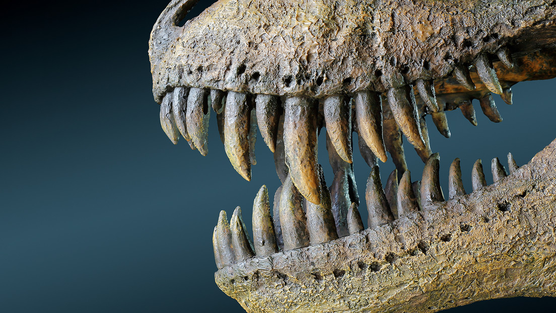 66f65d25e9ff7103177f7c99