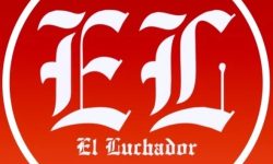 profile-image-ig-page-elluchadorinforma