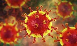 1140-corona-virus-image-esp.jpg
