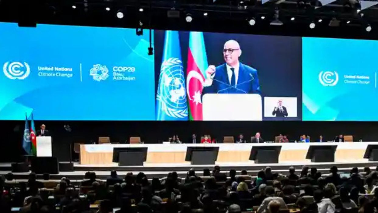 IMG_20241111_094110_486