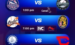 IMG_20241112_155255_755