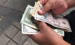 IMG_20241202_114842_539