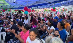 IMG_20241203_211353_944