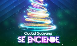 IMG_20241212_114927_775