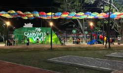 IMG_20241212_115759_735