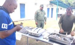 WhatsApp Image 2024-12-11 at 9.11.10 PM