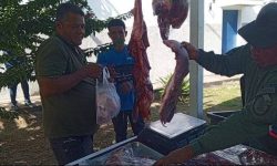 WhatsApp Image 2024-12-11 at 9.11.11 PM