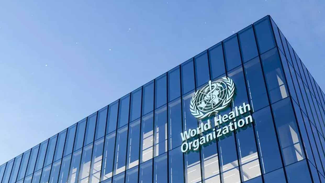 IMG_20250107_112614_369