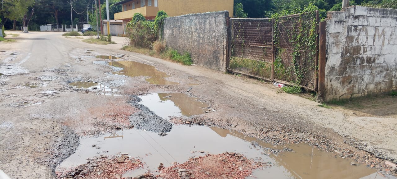 WhatsApp Image 2025-01-05 at 10.40.06 AM