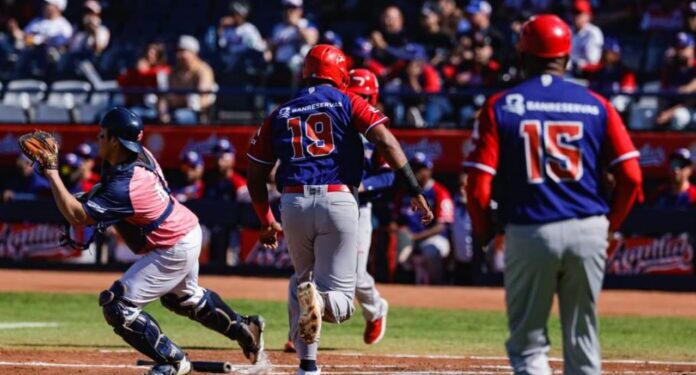 Dominicana-696x392-1-696x375