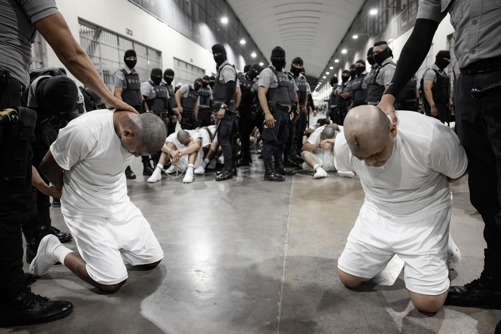 Presidente de El Salvador anunció que el país recibió a 238 miembros del Tren de Aragua