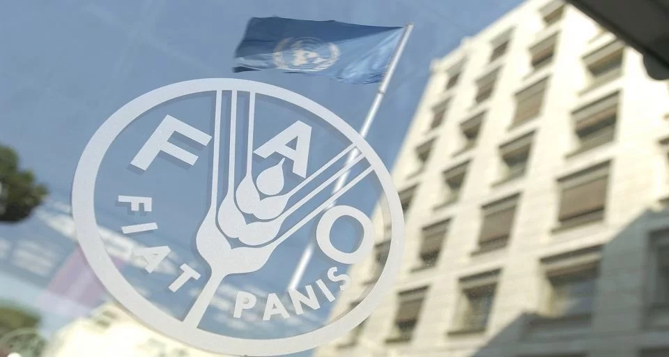 FAO-960-512