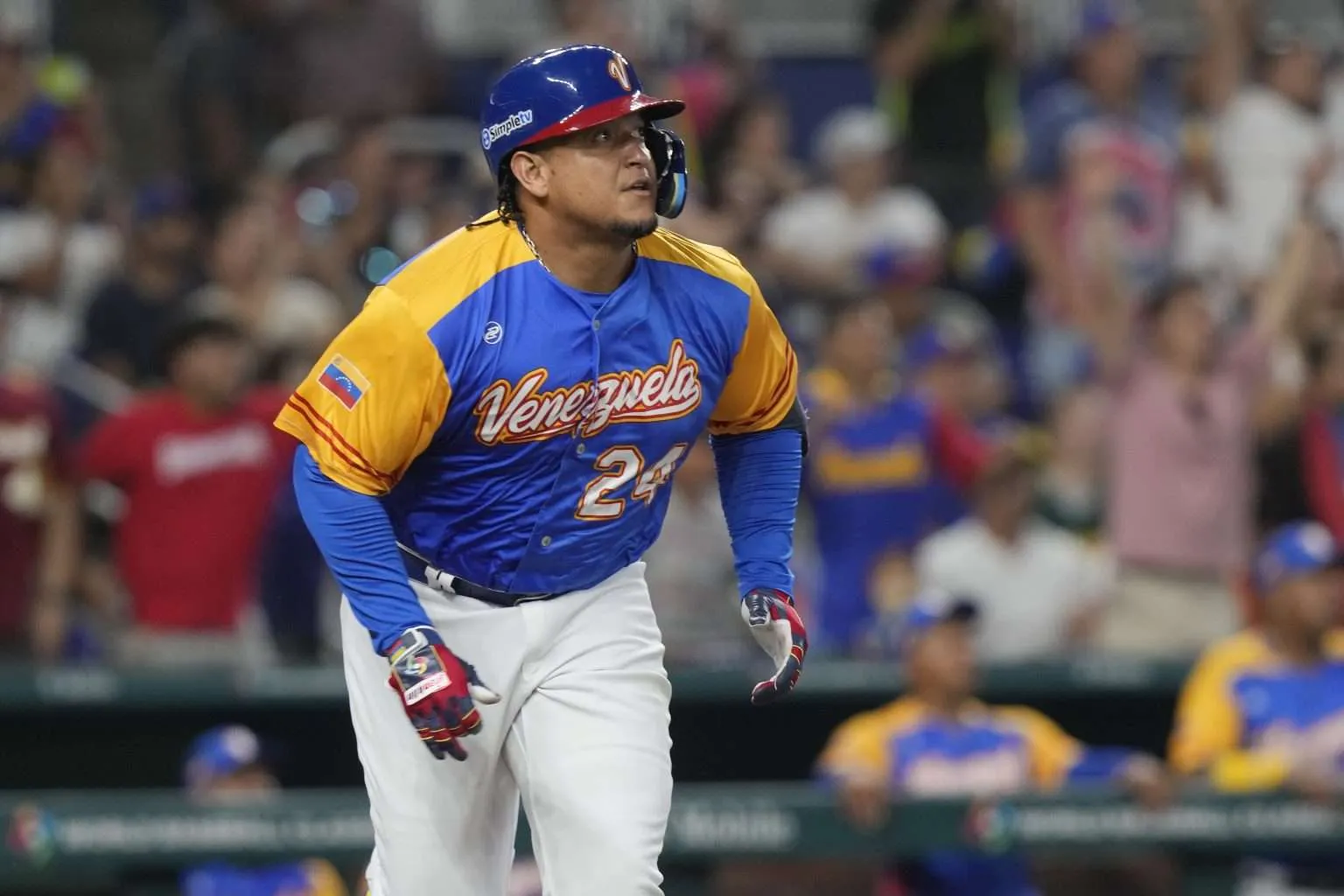 AP23073862654728-1536x1024