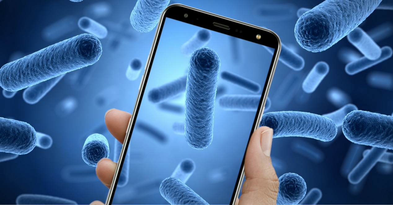 Bacterias-en-el-movil