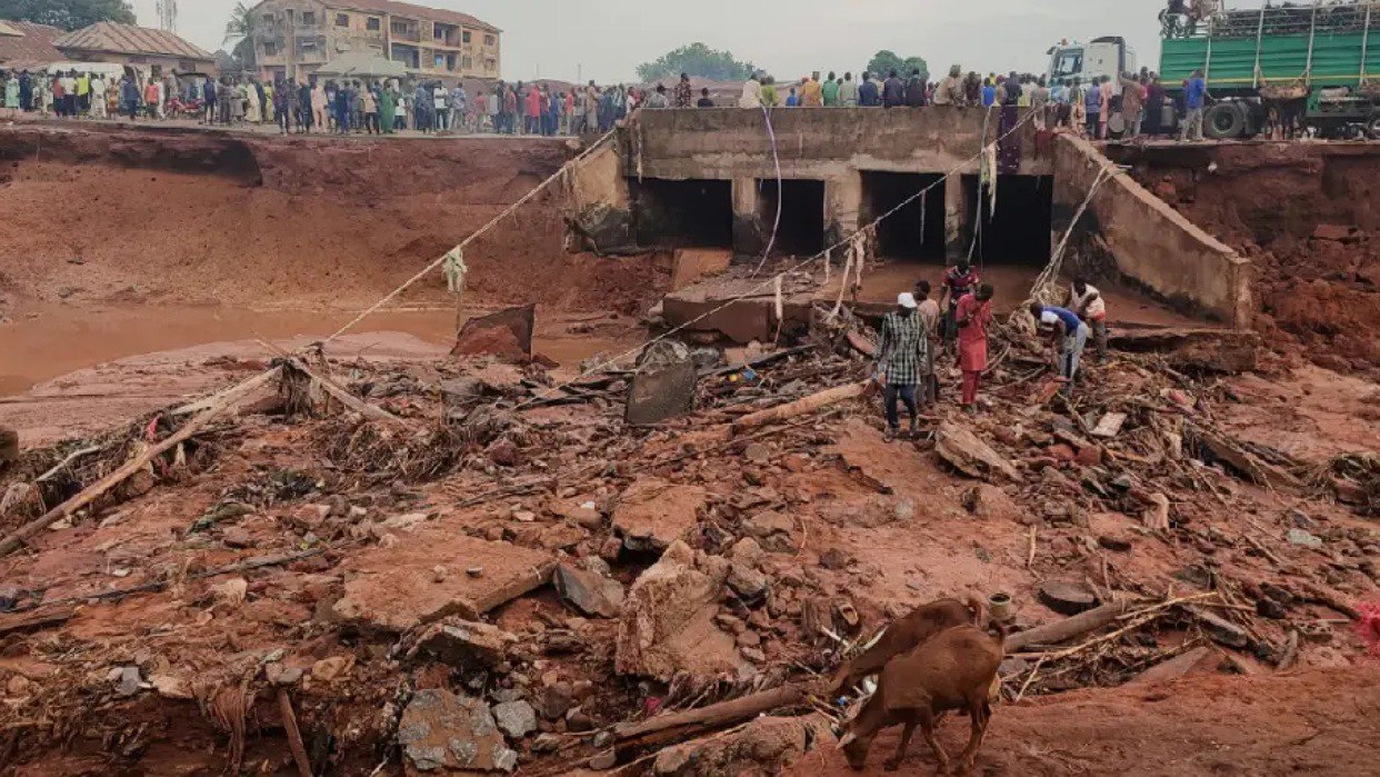 IMG_20250531_151335_457