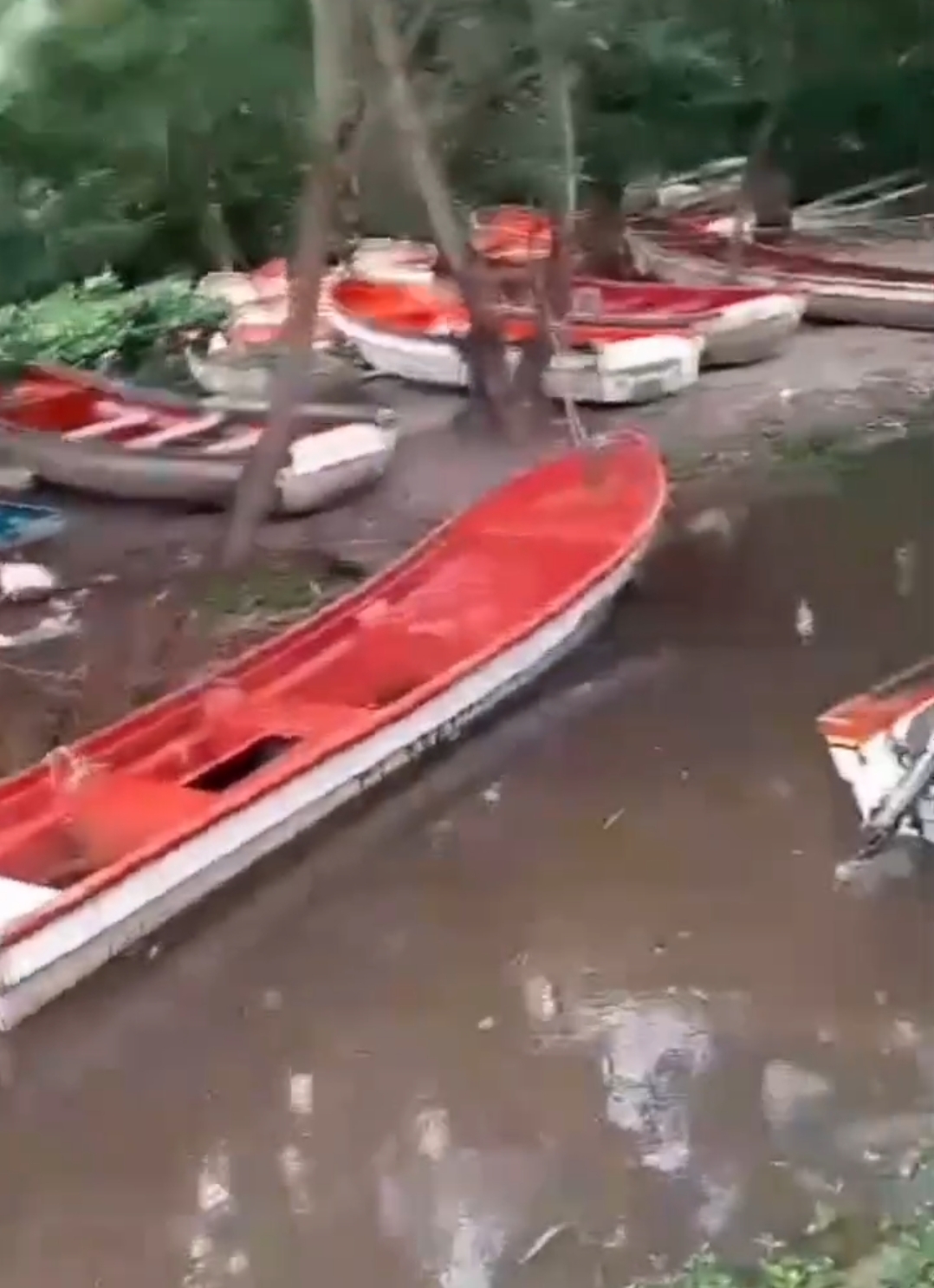 Screenshot_20250501_192558_com_hihonor_photos_SlotAlbumActivity