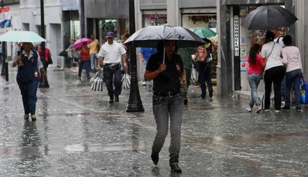 Screenshot_20250529_141805_com_google_android_googlequicksearchbox_LensExportedAct