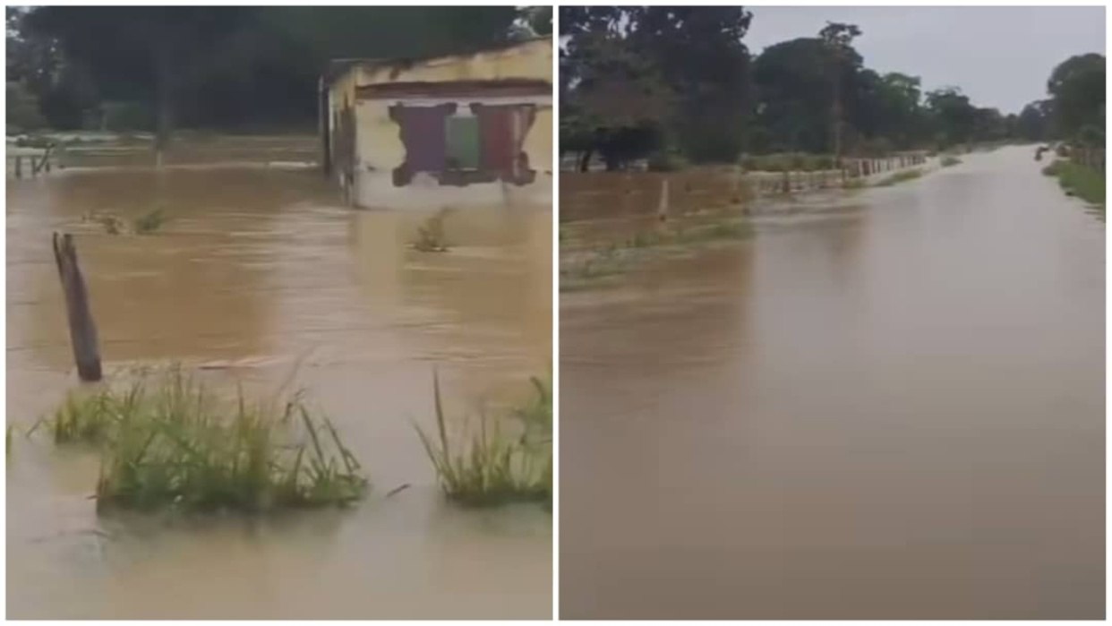 IMG_20250616_125124_375