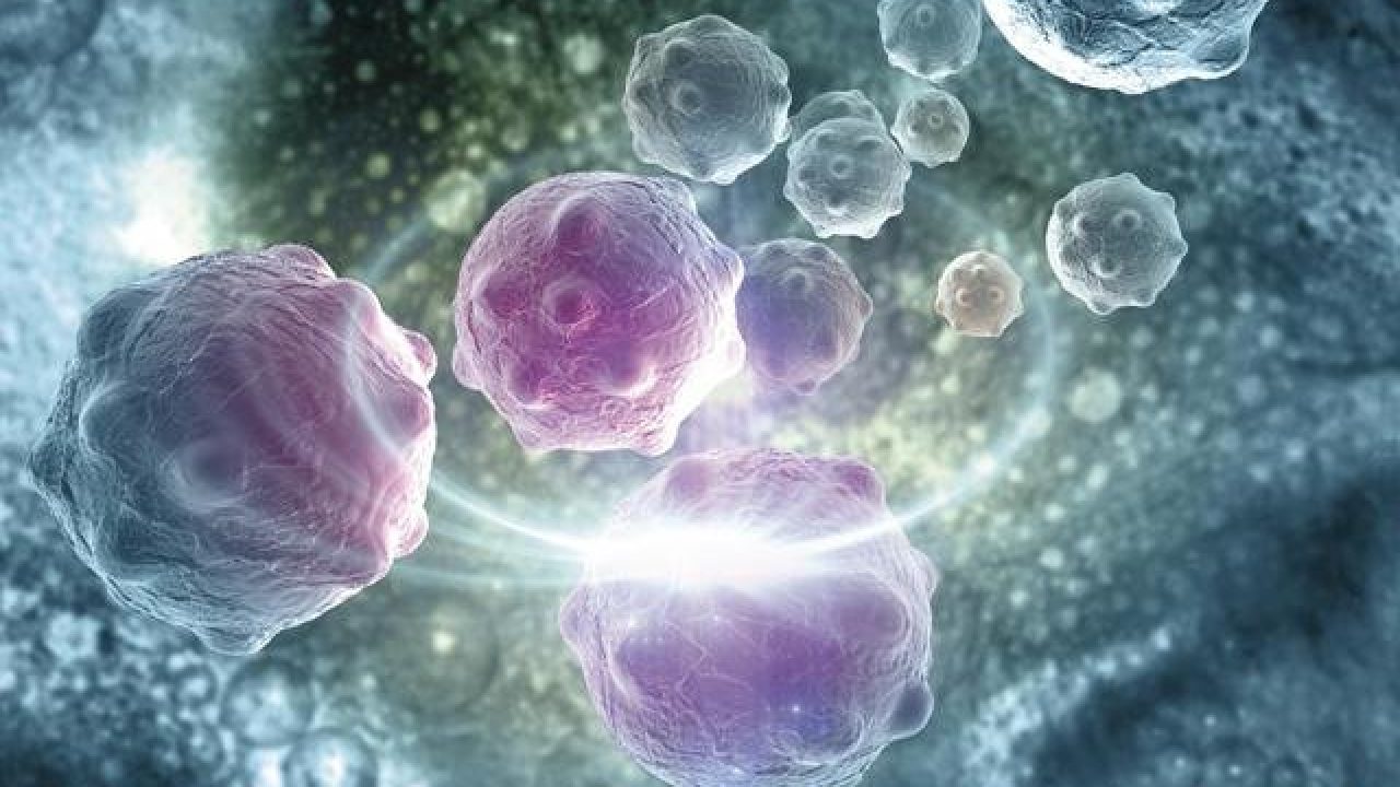 avances-recientes-cancer-1280x720-1