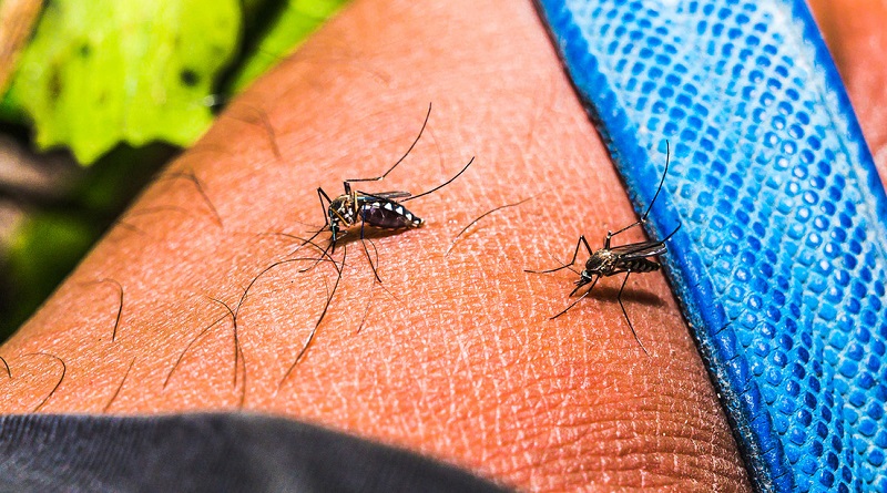 688cdb2b59bf5b38297068c9