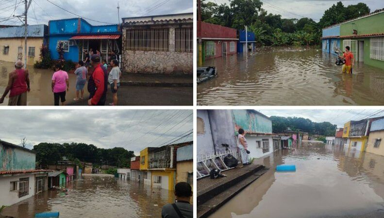 IMG_20250824_113113_231