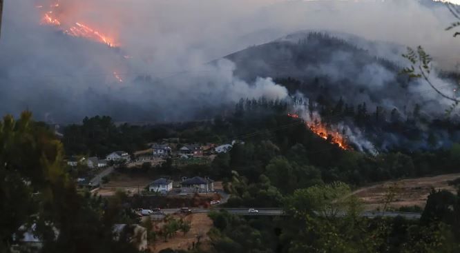 IMG_20250826_152426_082