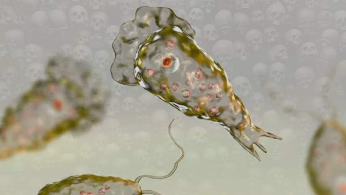 LIWCMA2JZFBH5IRJSPSYAI4V4Y