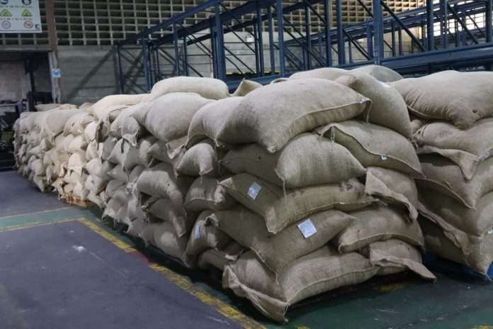 IMG_20250911_152420_715