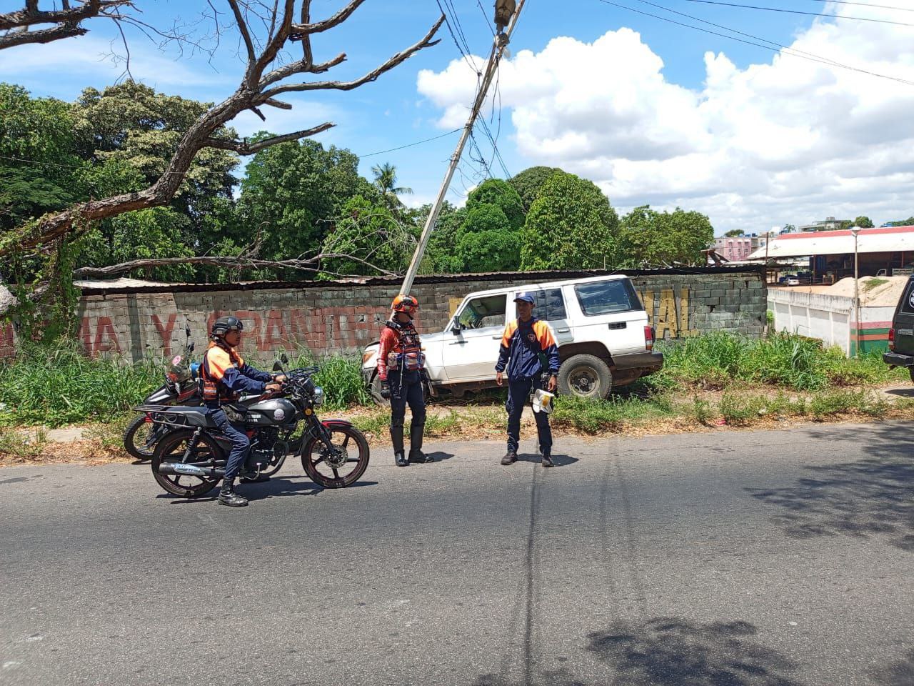 IMG_20251008_130623_708