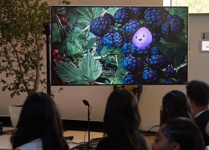 IMG_20251023_172039_561