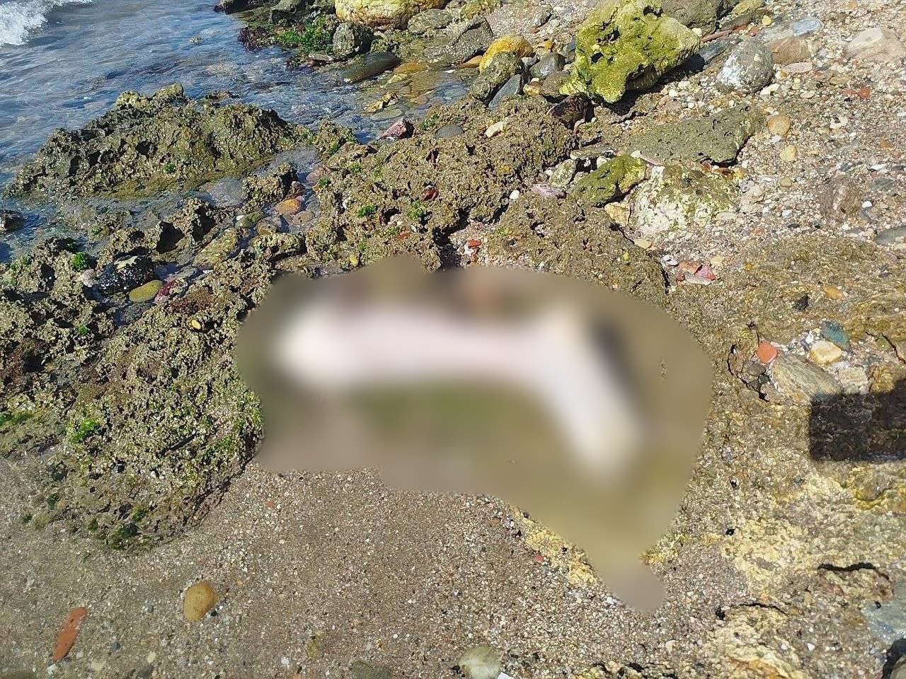 _20251114_124258_358