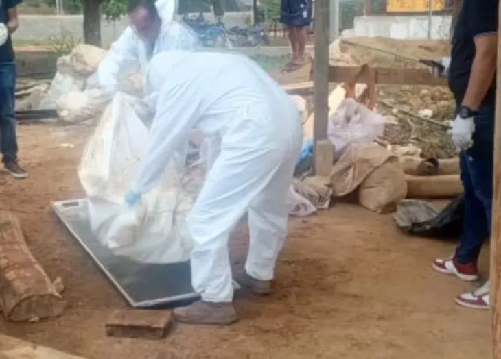 IMG_20251110_102318_697